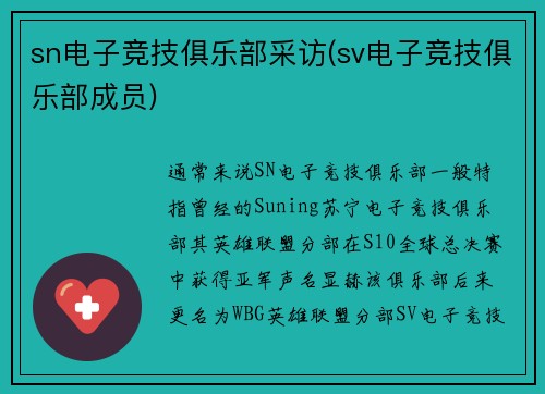 sn电子竞技俱乐部采访(sv电子竞技俱乐部成员)